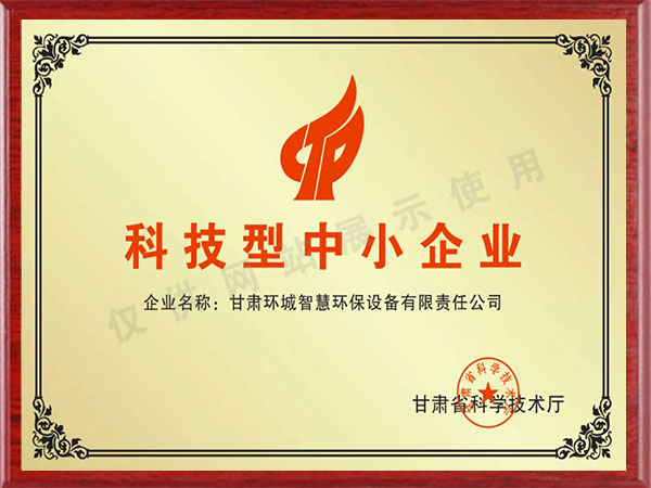 科技型中小企業(yè)